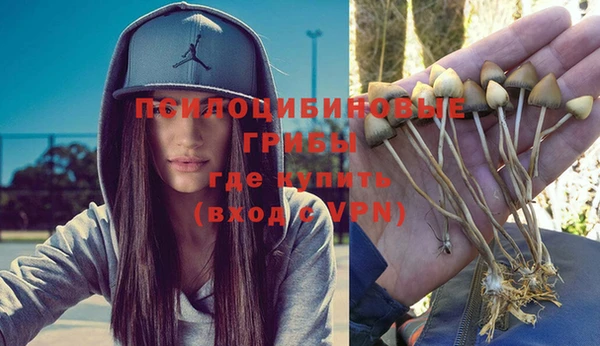 прущая мука Алзамай