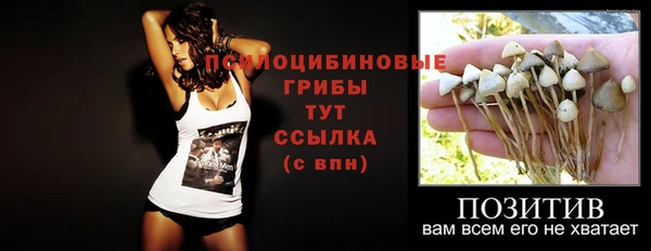 ПСИЛОЦИБИНОВЫЕ ГРИБЫ Алексин